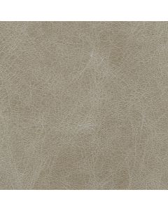Crystal_Light_Moss_1400.jpg